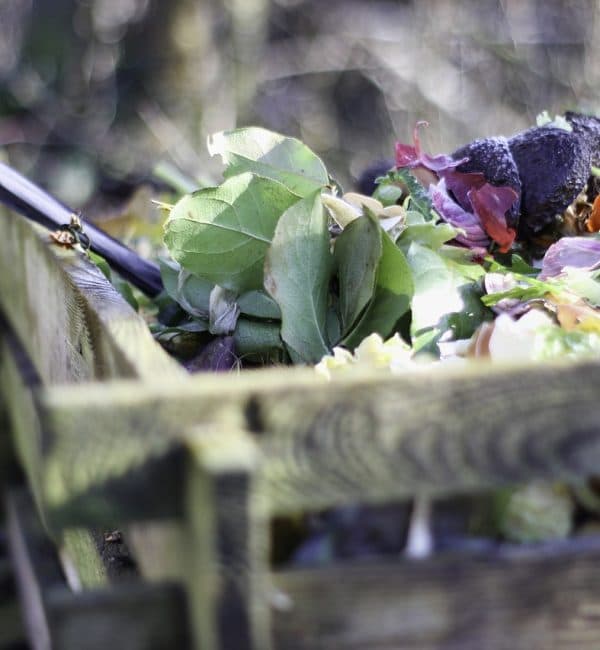 Garden waste and organic material ready for diversion